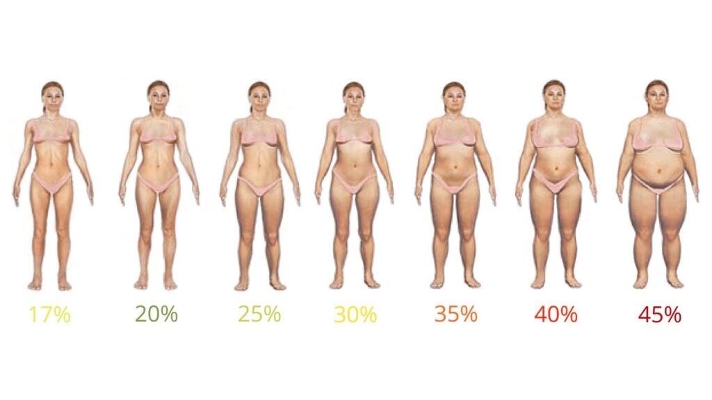 Körperfettanteil Vergleichsbilder Frauen